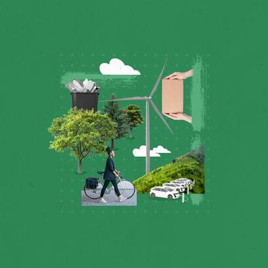 Environment